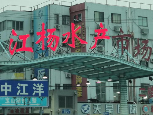 中國(guó)國(guó)際水產(chǎn)博覽會(huì)走進(jìn)上海江楊水產(chǎn)市場(chǎng)與廈門商貿(mào)合作新篇章