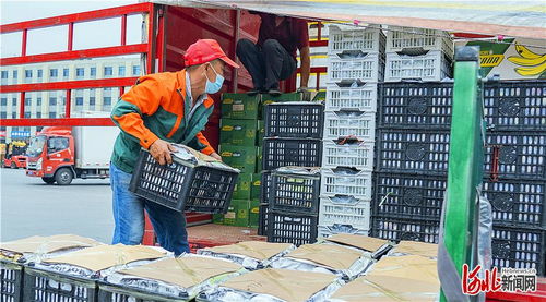 首衡高碑店農(nóng)副產(chǎn)品物流園 邁向現(xiàn)代食品商貿(mào)物流產(chǎn)業(yè)集群的典范