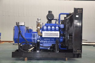 沼氣發(fā)電機組維修基本原理與燃氣發(fā)電機組維護要點解析